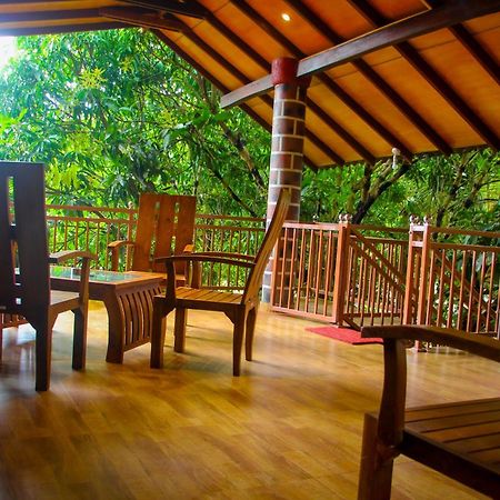 Sigiriya Peacock Homestay المظهر الخارجي الصورة