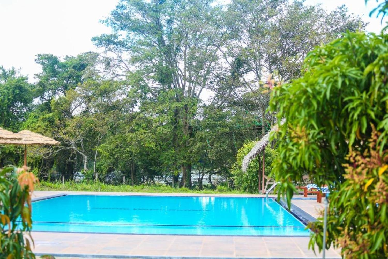Sigiriya Peacock Homestay المظهر الخارجي الصورة