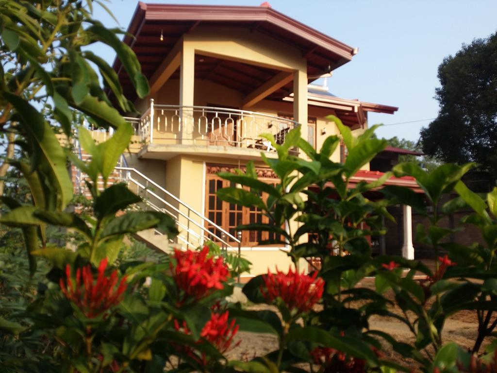 Sigiriya Peacock Homestay المظهر الخارجي الصورة