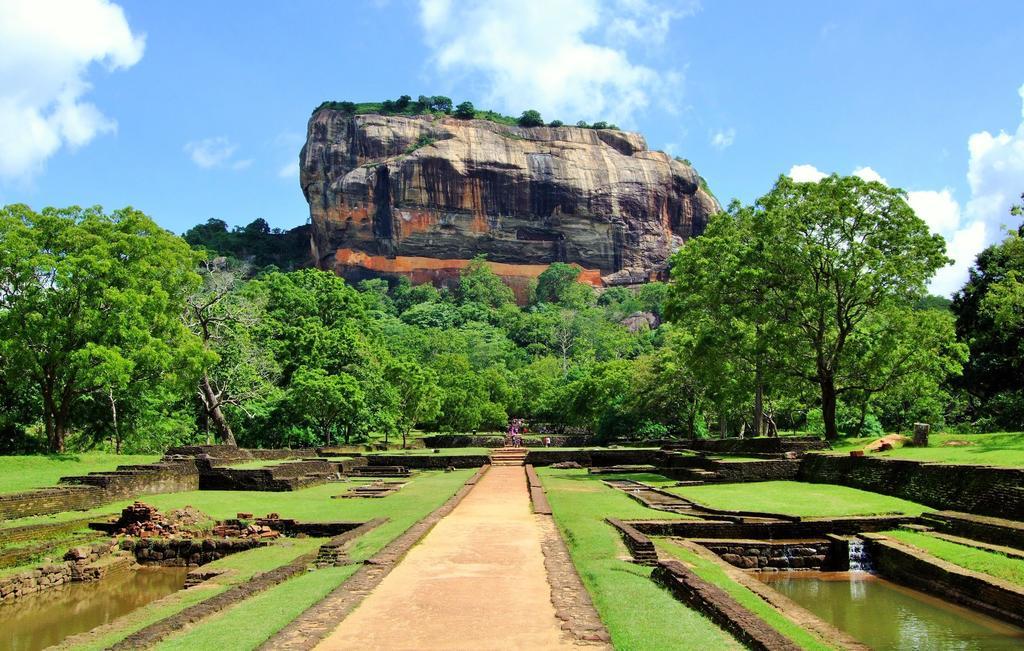 Sigiriya Peacock Homestay المظهر الخارجي الصورة