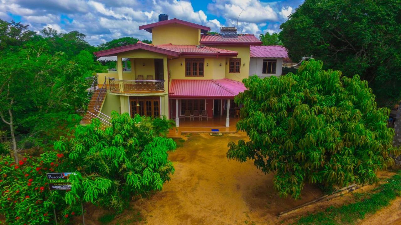 Sigiriya Peacock Homestay المظهر الخارجي الصورة