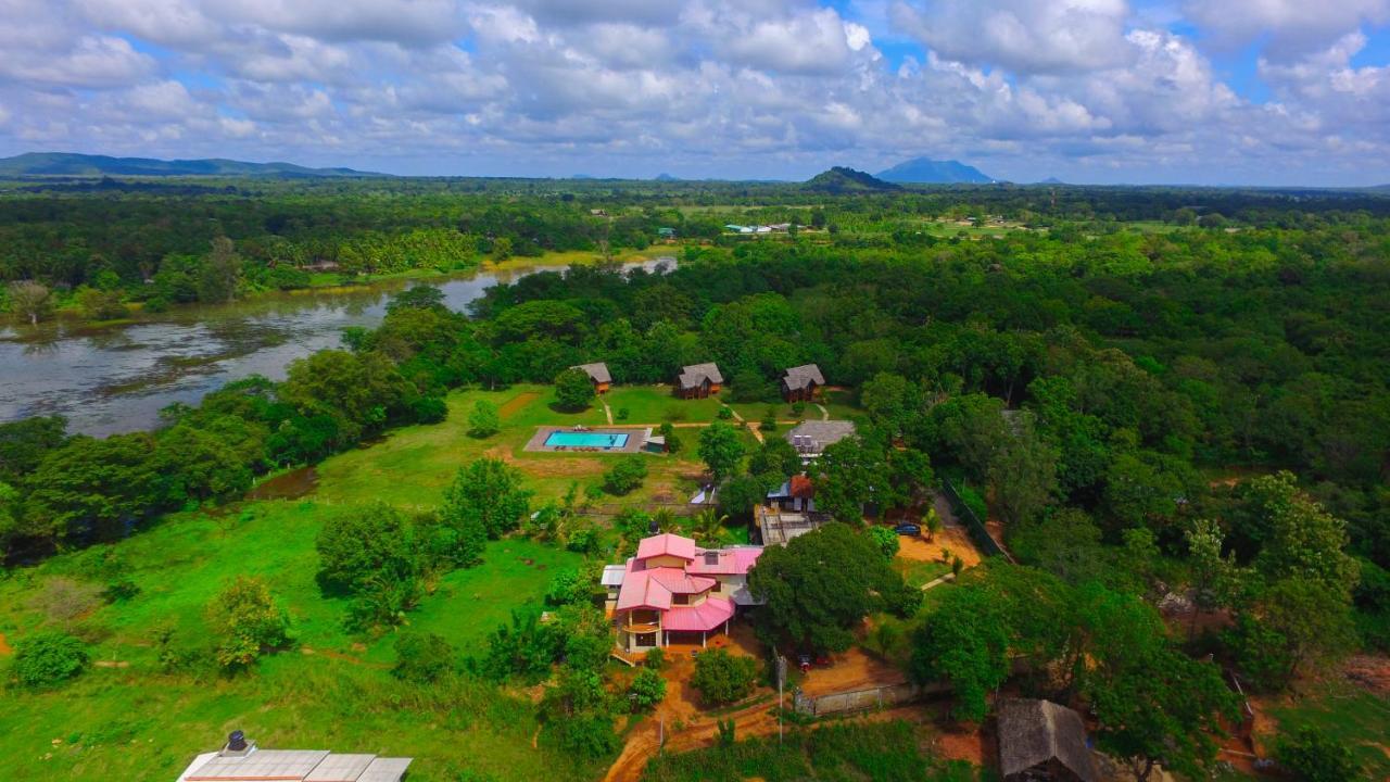 Sigiriya Peacock Homestay المظهر الخارجي الصورة